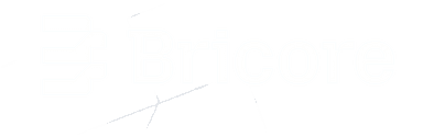 Bricore Solutions Logo
